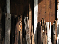 Holz
