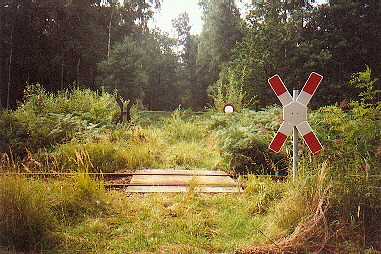 Bahnübergang in der Wildnis