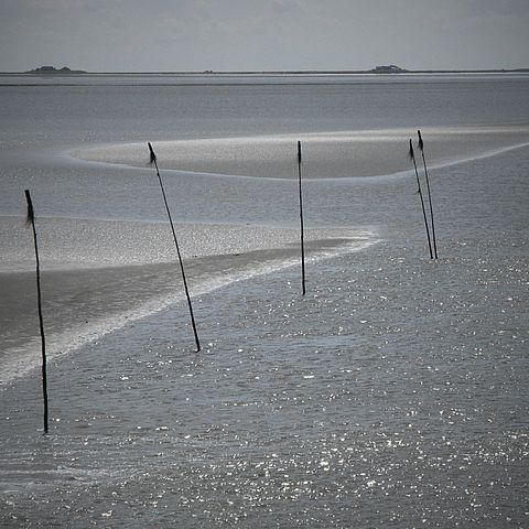 Wattenmeer