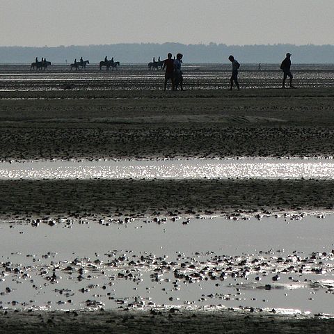 Wattenmeer 2