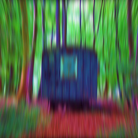Bauwagen im Wald
