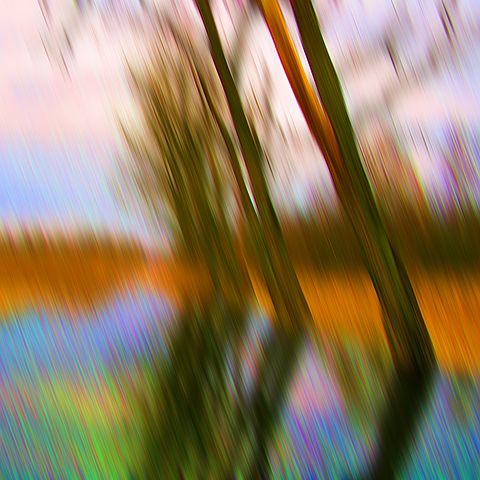 Am Federsee
