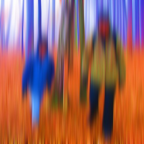 Menschen im Wald