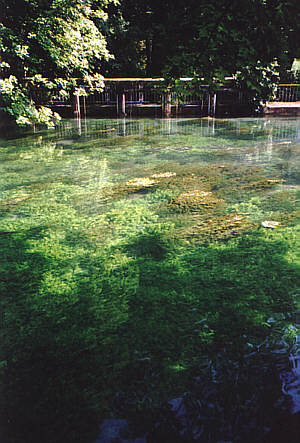 Am Blautopf