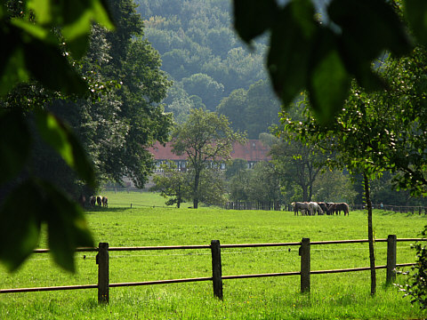 Gest�t G�terstein