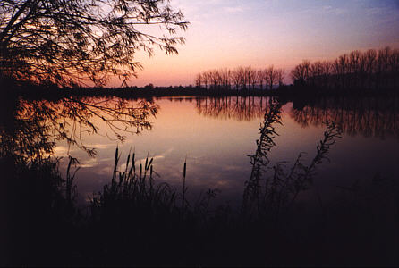 Abendstimmung am Baggersee
