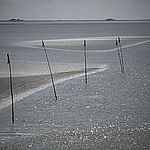 Wattenmeer