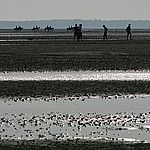 Wattenmeer 2