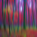 Farbenpr�chtiger Wald