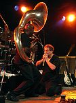 Joseph Daley (sousaphone) und Wade Shuman (hca)